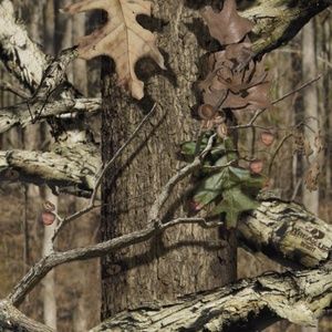 Meet your Posher, Cory